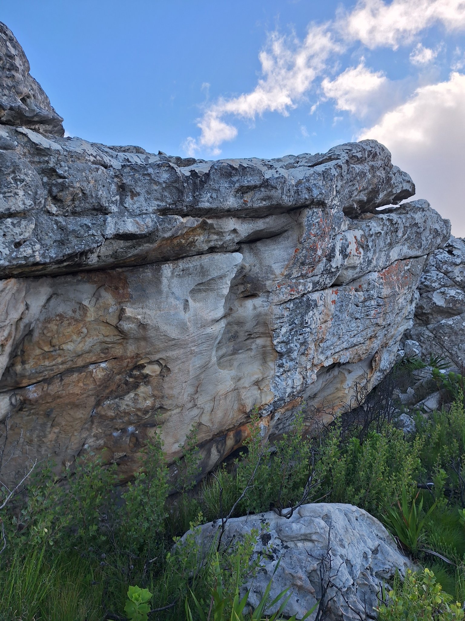 boulder_23072b29-3333-4969-9d29-3bf84561171a_1783170362598.jpg