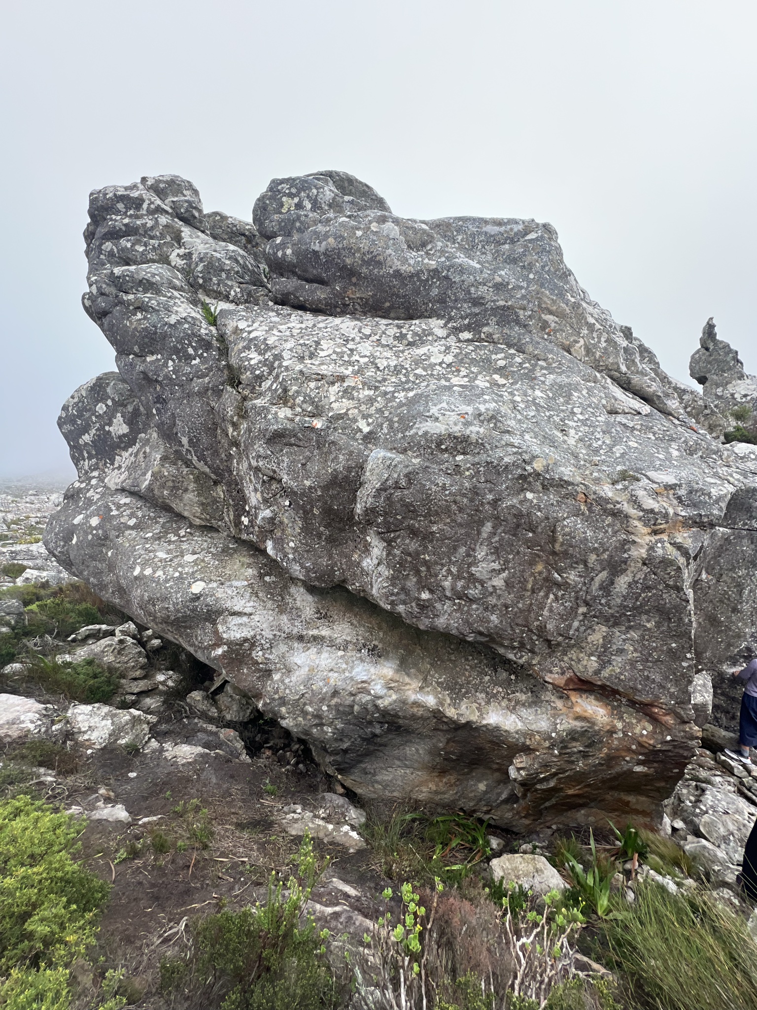 boulder_3ad53ce1-a5ef-4051-8e13-ed3eda00b505_problem_d4c6a840-df84-4305-a005-35fa01180103_1784365542605_0.jpg