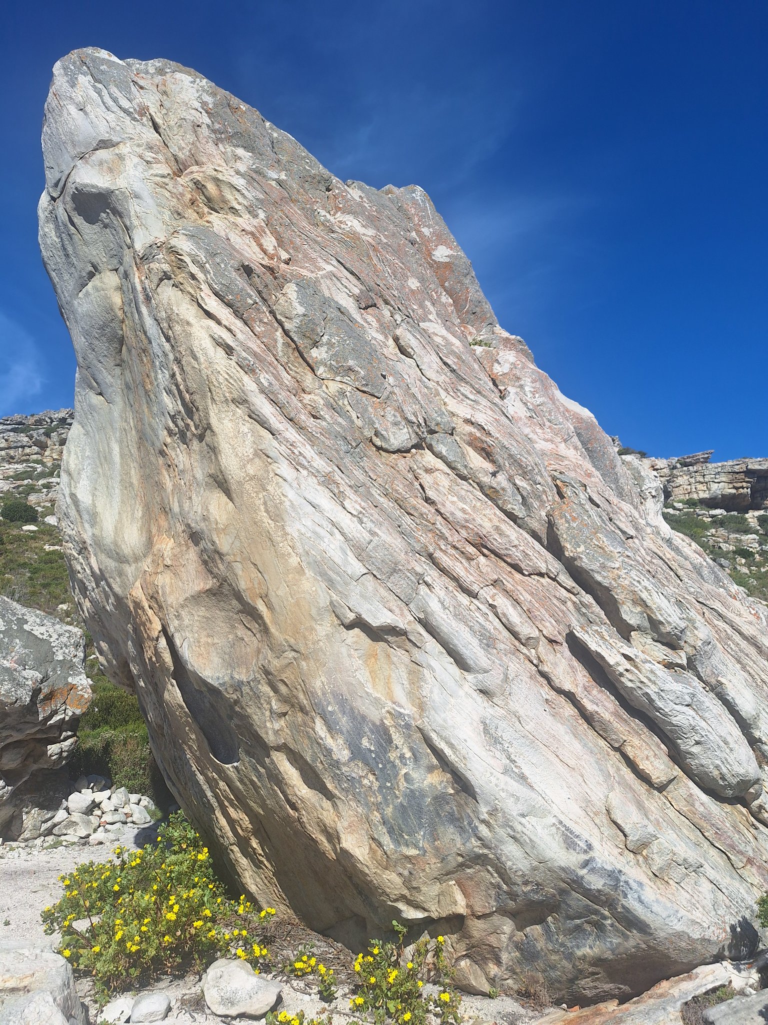 photo_1785577833425.jpg