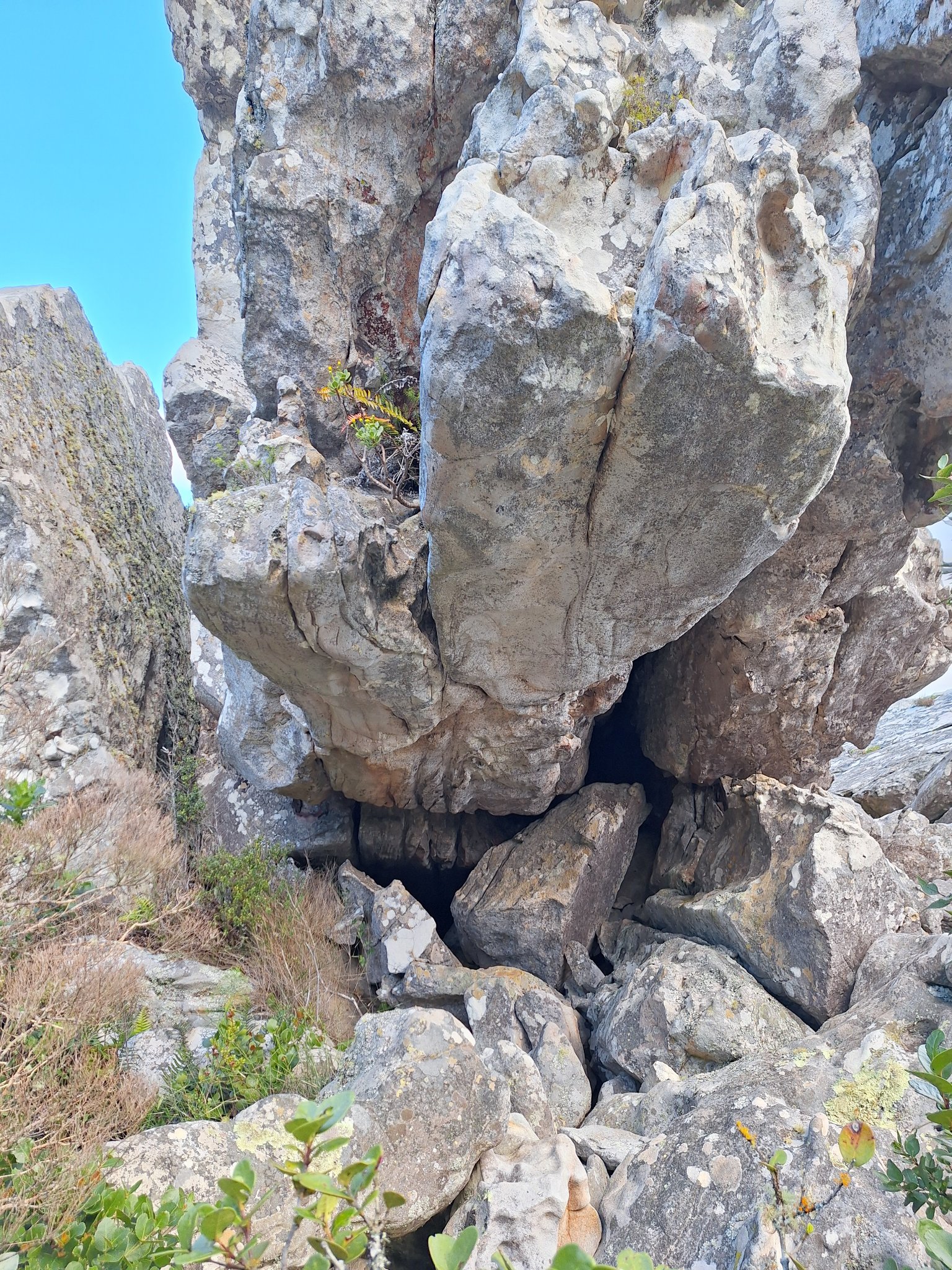 boulder_694cbab8-e792-4b95-968f-592508e09ddb_1783169955129.jpg