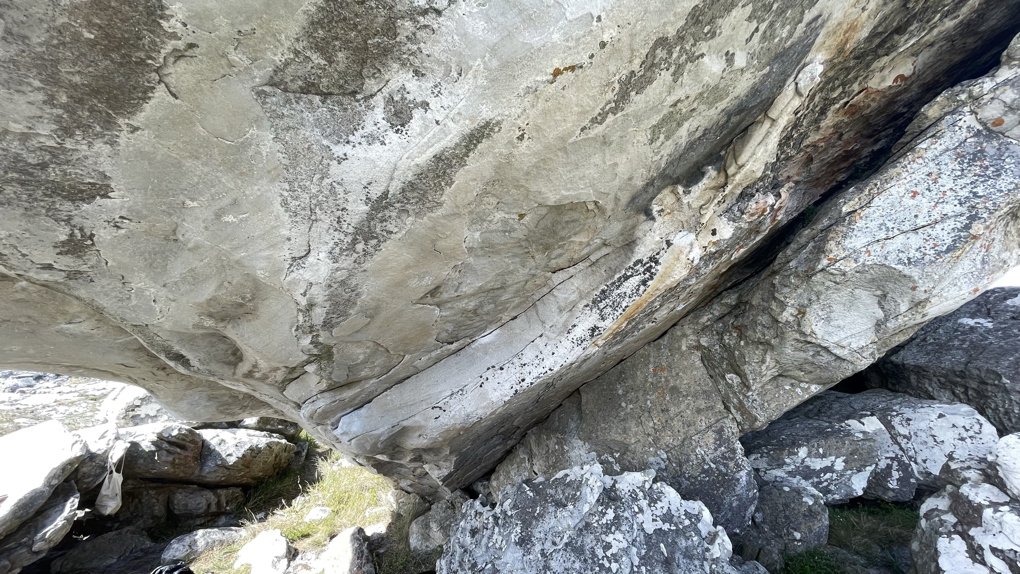 boulder_ef242413-aa57-4039-ab44-5addc6dfb9b6_problem_1d01dd6c-9e22-46ac-87fd-77c447596429_1788347881113_0.jpg